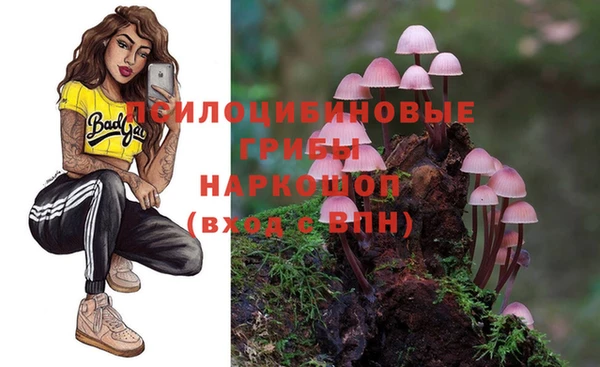 скорость Белокуриха