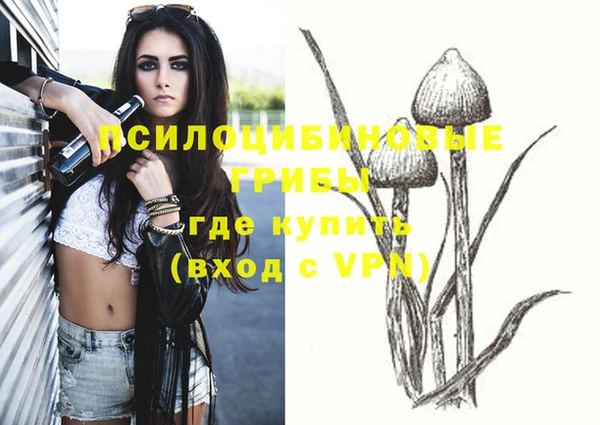 скорость Белокуриха