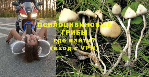 скорость Белокуриха