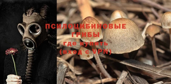 хмурый Белоозёрский