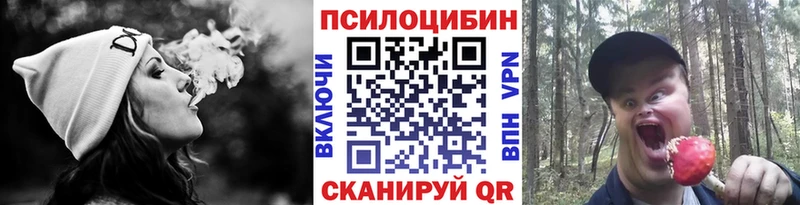Псилоцибиновые грибы ЛСД  купить  сайты  Верхнеуральск 